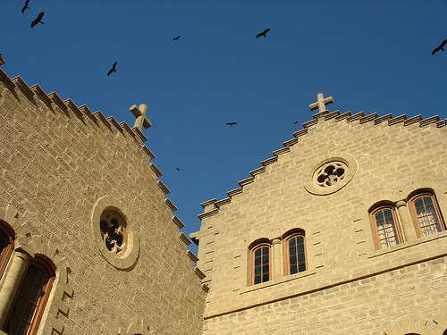 04 School Crosses and Birds